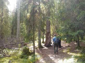 Sopimuksen mukaisesti Kiimingin metsänhoitoyhdistys hoitaa yhteismetsän taloushallinnon, toimistotyöt, kokousjäjestelyt ja toiminnanjohtaja toimii myös yhteismetsän sihteerinä ja kokousten