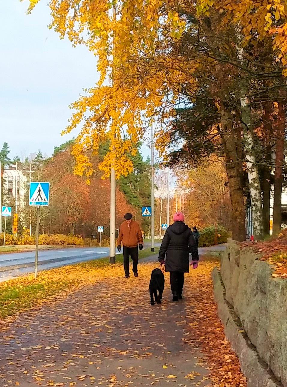 Suunnittelun painopistealueet on huomioitu toimenpiteiden priorisoinnissa.