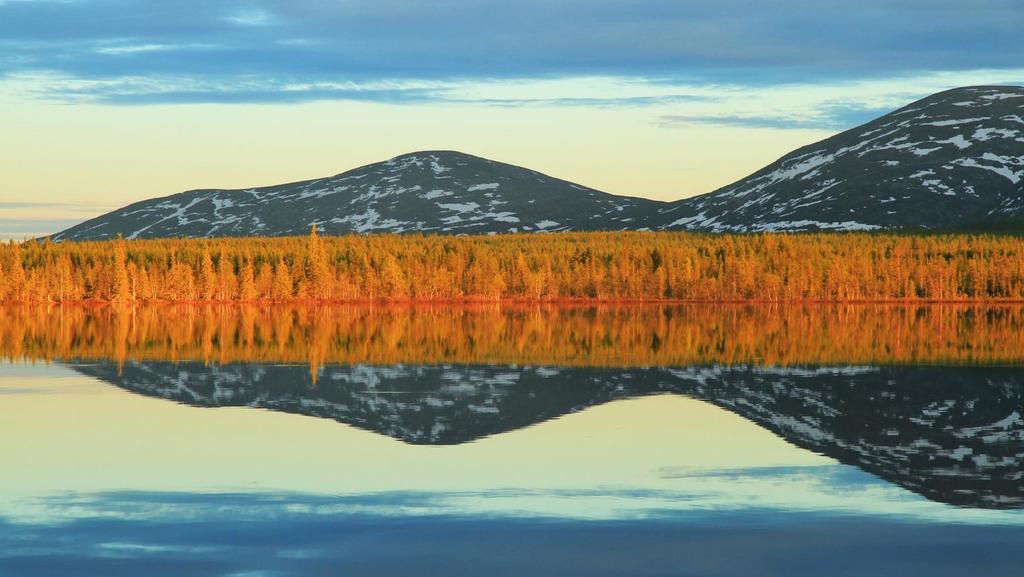 Kiitos! metsa.fi/luontomatkailuyrityksetsuojelualueilla metsa.