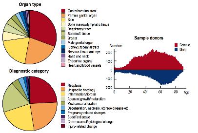 comprehensive EHR information 2