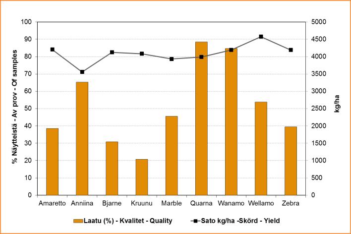 Viljaseula - Kotimaisen viljasadon laatuseuranta 2013 - Kvalitetsuppföljning av den inhemska spannmålsskörden 2013 - Finnish Grain Quality 2013 Kuva 11.