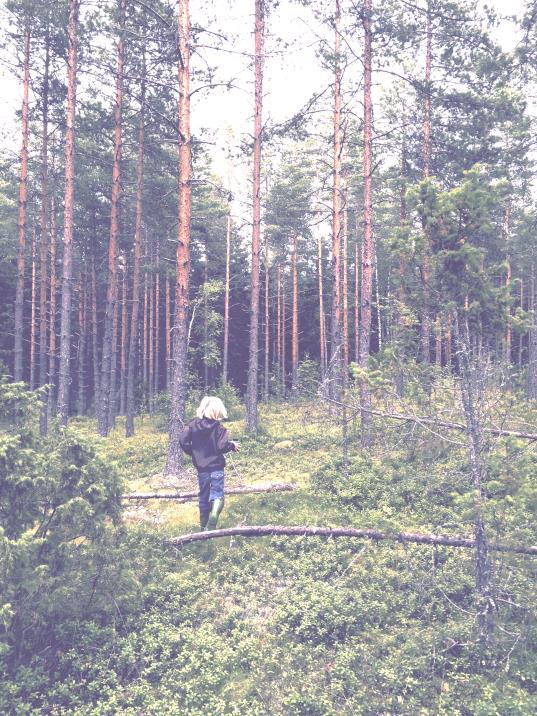 FYYSISTÄ AKTIIVISUUTTA LISÄÄVÄT TEKIJÄT Vapaa /omaehtoinen leikki ja ulkona liikkuminen (Hinkley ym. 2008; Sääkslahti 2005; Raustorp ym.