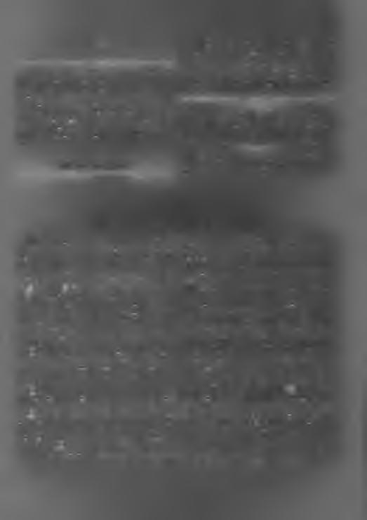 8 25. Saantitodistus. 4.
