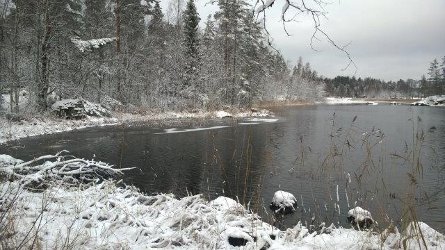 YLEISKAAVAN SUUNNITTELUN VAIHEET 4.1 Yleiskaavan suunnittelun tarve Kaavan laatimiseen on ryhdytty parempien rakennusolosuhteiden hakemisen vuoksi. 4.2 Suunnittelun käynnistäminen ja sitä koskevat päätökset Yleiskaavan muutos on käynnistynyt maanomistajien aloitteesta.