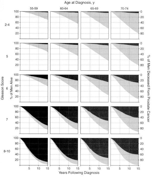 Eturauhassyövän luonnollinen kulku Risk of dying from prostate cancer or other causes for 767 men