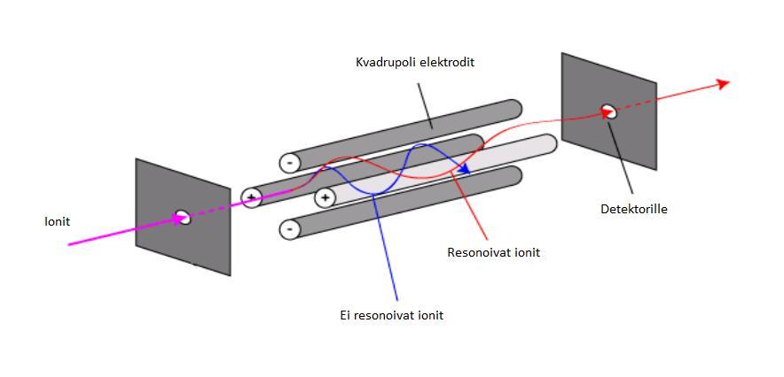 20 suhteen omaavat ionit pääsevät kvadrupolista läpi.
