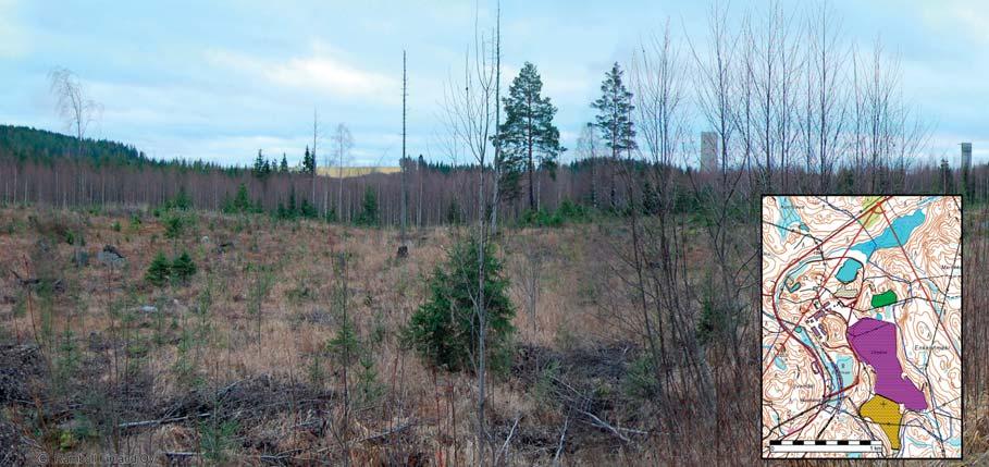 Kuva 8-9 Näkymä hankealueelle lounaasta vaihtoehdoissa VE1 ja VE2. Kuva 8-10 Näkymä hankealueelle pohjoisesta vaihtoehdoissa VE1 ja VE2.