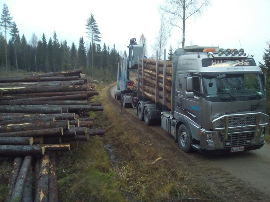 Metsätien toimipiste Logistiikan pt,