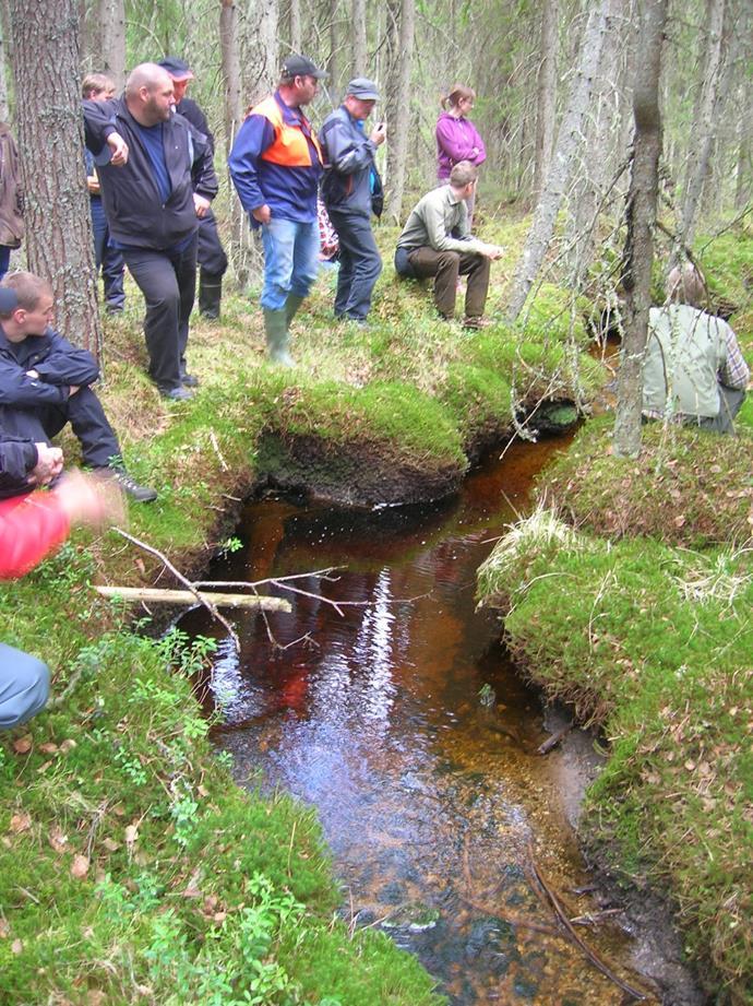 Koulutuksia työelämälle - räätälöidyt koulutukset