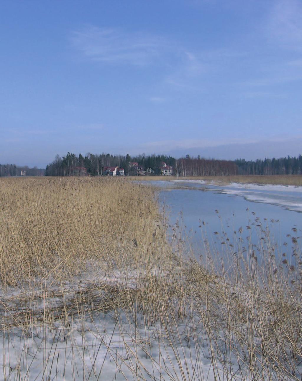 Kuva 3. Östersundomin ruovikkoa talvella 2007.