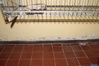 Kuva 7. Rakennuksen päätykolmio. Pesuhuoneen ja kuivatushuoneen kohdalla olevasta betoniseinästä on huomattavissa selviä kosteuden aiheuttamia vaurioita.