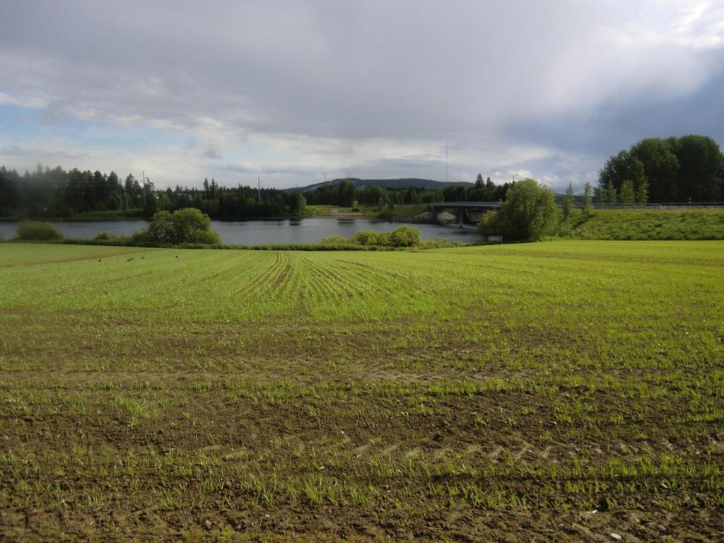 yleiskaavan maisemaselvitys