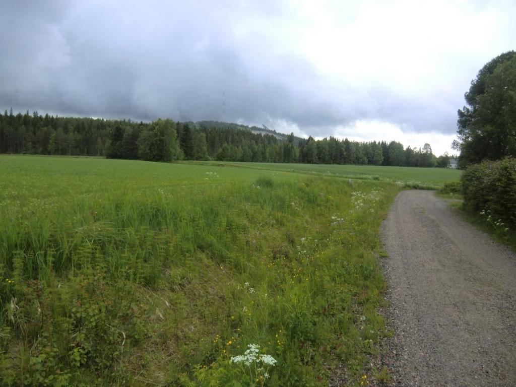 FCG SUUNNITTELU JA TEKNIIKKA OY Vuokatin