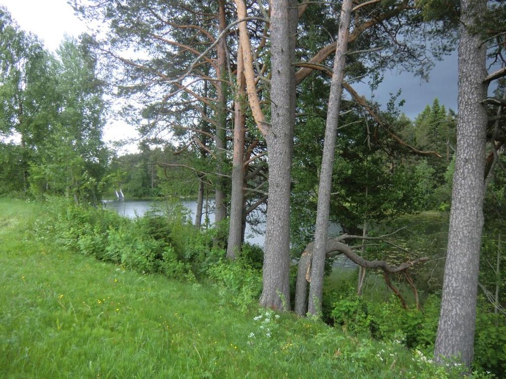 FCG SUUNNITTELU JA TEKNIIKKA OY Vuokatin