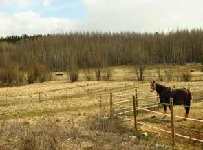 KIVISTÖ 2.6 Tallimäentien pellot Tunnus B3 Pinta-ala B3: 90 626 m 2 Kaavamerkintä YK: VU, ET, TT Luonto- ja maisema-arvot Avoin maisematila.