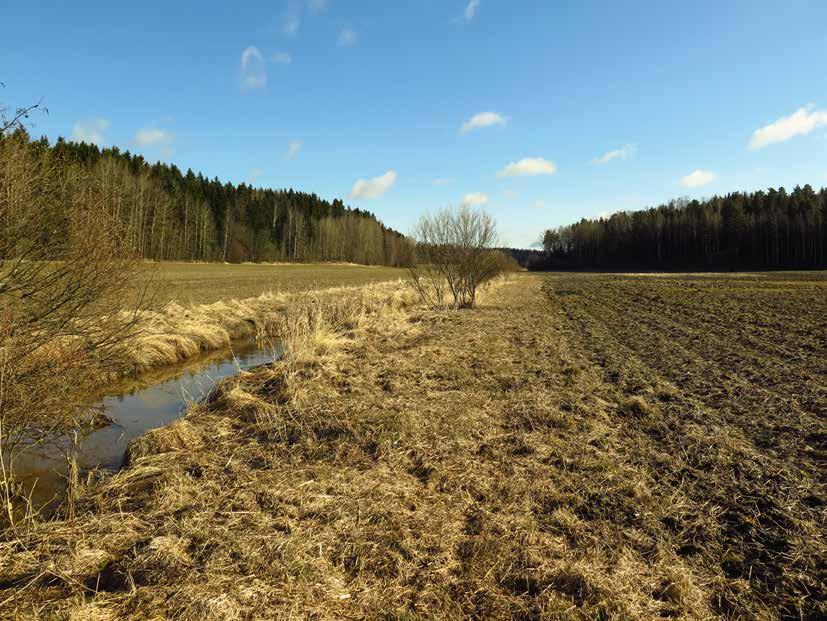 3.4 kunnossapidon menetelmät Kohteen kunnossapito määräytyy viheralueen arvon, käyttötarkoituksen ja kunnossapidon rahoituksen mukaan.