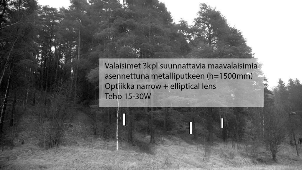 1. Kirkkolaakson puiston maisemavalaistus 2. Mäntyryhmän valaistus/ valaistus- ja asennusperiaatteet Valaistusperiaatteet: Mäntyryhmän valaistus asennetaan H:1,5m teräsprofiileihin.