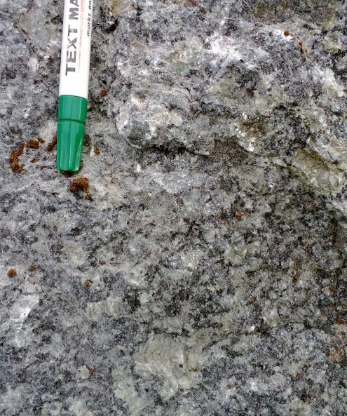 Kallionäytteet otettiin alueella esiintyvästä porfyyrisestä granodioriitista.