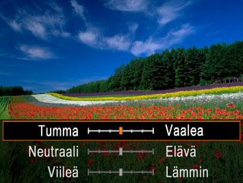 Valitse asetus painamalla <o><p>-painikkeita ja säädä sitten arvo näytön katselun aikana painamalla <q><r>-painikkeita. Paina <m>-painiketta. Kuvaa.