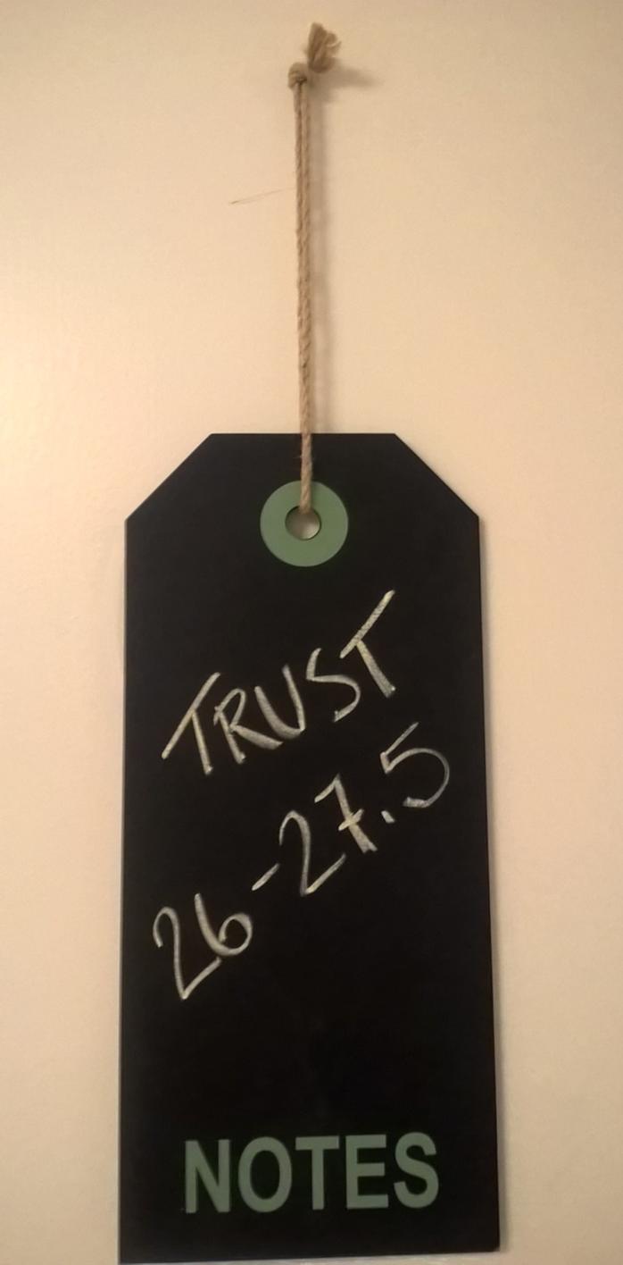 Trust-hanke Kiitos!