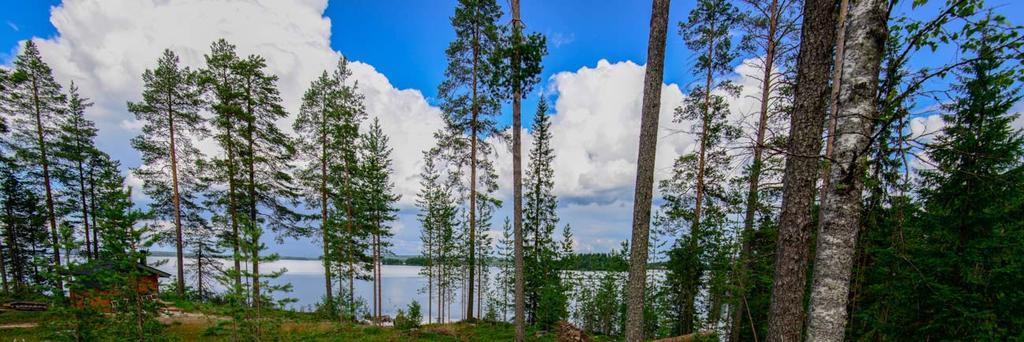 Ammeniemi.