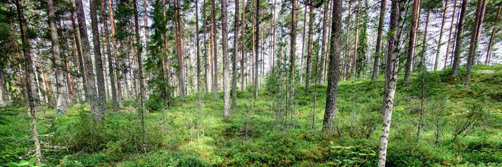 Jäätiönlampi 4 (uusi kohde) Muinaisjäännöstunnus: 1000028783 Muinaisjäännöstyyppi: Alatyyppi: Ajoitus: Laji: työ ja valmistuspaikat pyyntikuopat esihistoriallinen kiinteä muinaisjäännös Koordinaatit