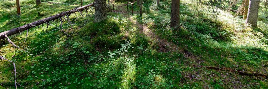 noin 600 metriä Vuokatinvaaran ylemmältä pysäköintialueelta eteläkaakkoon. Tervahauta on luonnonsuojelualueella kauniissa kuusimetsässä.