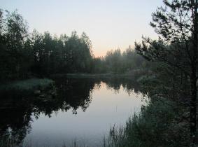 PESOLAN JA KORKEAMAAN TUULIVOIMAPUISTOJEN LEPAKKOSELVITYS 9 etenkin alueella 9 lepakoiden havaintomäärät olivat varsin pieniä.