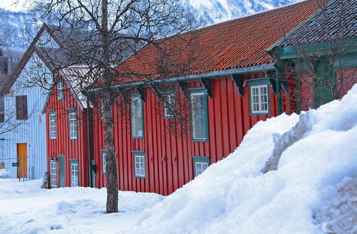 Tarjouspyyntöraportti sisältää: Projektin taustan ja tavoitteet Julkaisupäivän Päivän jolloin tarjouksen tulee viimeistään olla tarjouksen pyytäjällä