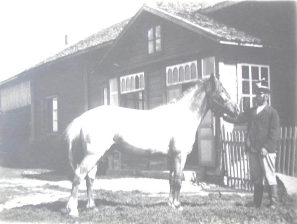 7.6 SANTUNMÄKI Santunmäen tila tuli Tjederin suvulle, kun Heikki Jokinen (s. 1854) osti tilan. Heikin vaimo oli Tjederin sukuun kuulunut Hilda Kaisa Hokkanen, joka oli syntynyt Hokkalan talossa 1861.