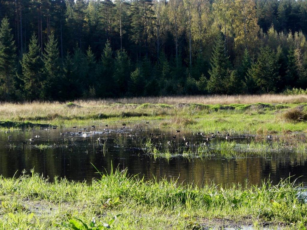 MAHDOLLISUUKSIA ON JOKA KYLÄSSÄ www.kosteikko.fi Kiitos!