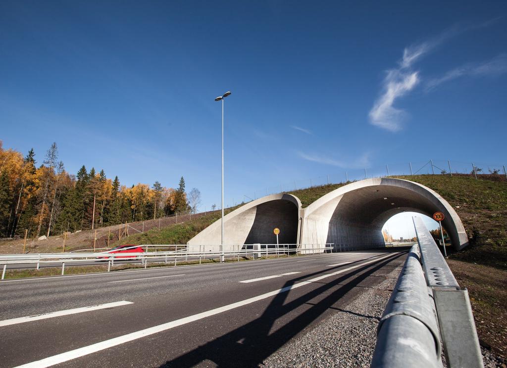 Vihersiltaa pitkin eläimet pääsevät ylittämään tien turvallisesti. Teksti: Miia Apukka, VTM, viestintäjohtaja, Destia Oy Vuoden Projektina 2013 palkittiin Destia Oy:n Kantatie 51 -projekti.