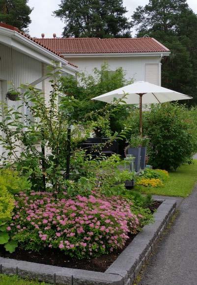 Piha rakentuu vaiheittain Pihan rakentaminen aloitetaan sokkelin vierestä ja siellä tärkein työ on korkojen määrittäminen.