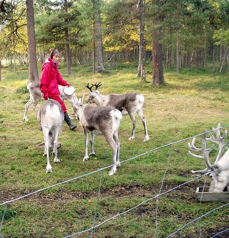 Pohjoisen matkailukeskukset hahmotetaan usein syrjäseutujen yhdyskunniksi, joista etsitään sekä vaihtelua arkiympäristöön että autenttisia luontoja paikalliskulttuurisia kokemuksia.