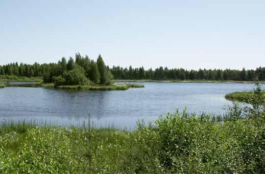 Kosteikoksi palautettu entinen turvetuotantoalue, Kurunneva Siikalatva. sosiaalinen hyväksyttävyys ja eri käyttömuotojen yhteensovittaminen.