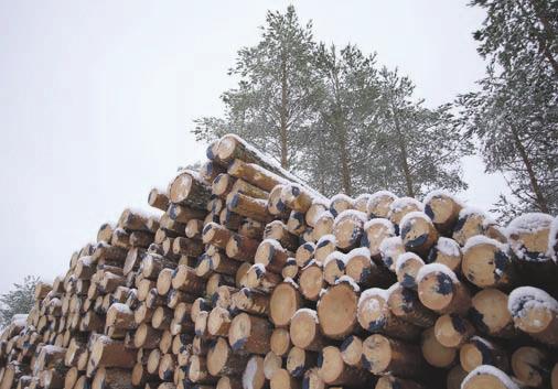 Hallituksen haastattelu sivu