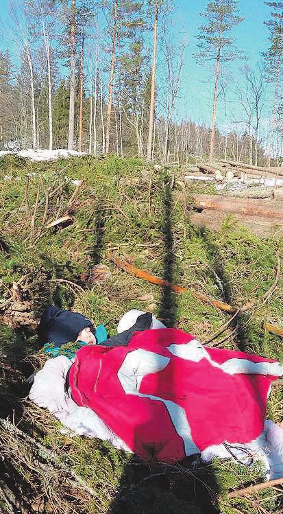 Nyt tai ei koskaan oli Eijan ajatus jäädytysurakasta.