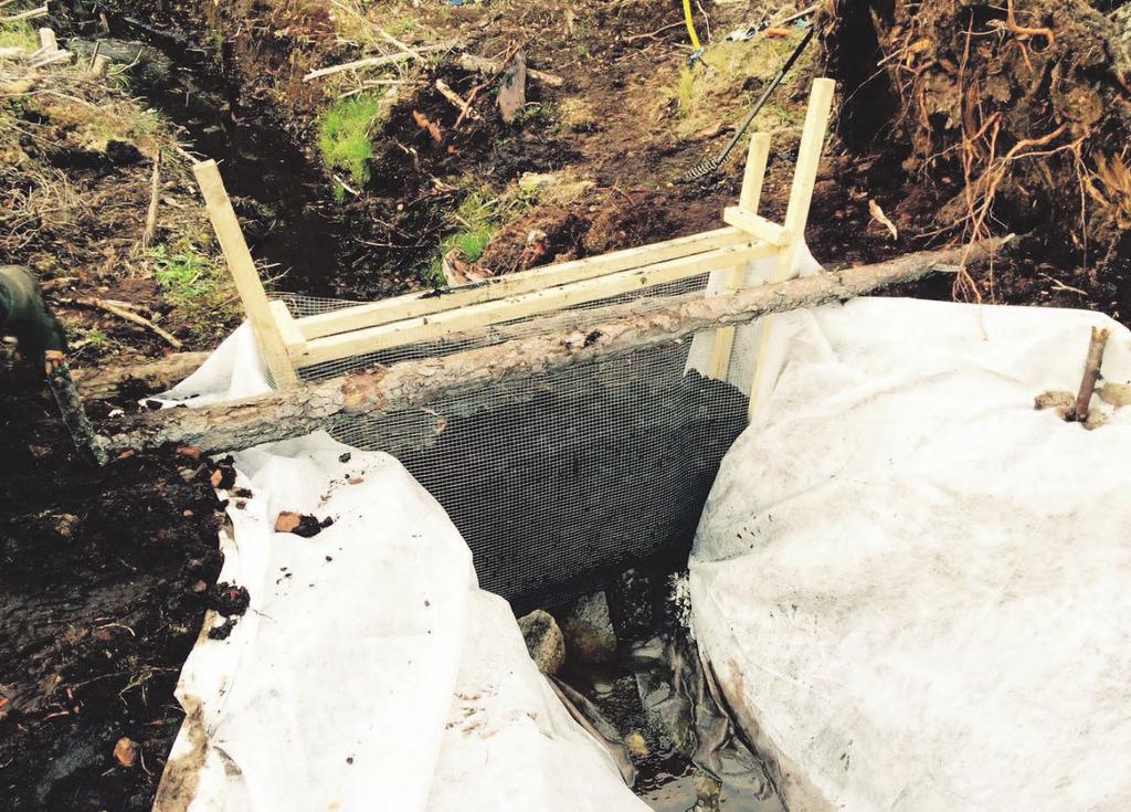 26 Metsätalouden vesiensuojelun tehostamista biosuodattimilla Turvemaiden puuston tuotto-odotusten toteutuminen edellyttää hakkuiden ja kunnostusojitusten tekemistä ajallaan.