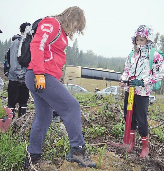 Päivän aikana oppilaat osallistuivat aluksi neljälle rastille. Rastien aiheet olivat taimenistutus, taimikonhoito, harvennushakkuu sekä päätehakkuu.