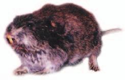 Etelä-Savon metsänhoitoyhdistys on minulle jo ennestään tuttu työympäristö.