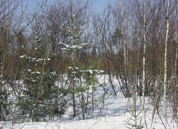 J räyät tt tt 100 j r ää, rj ää. J rht tt 200 j, d hj ähttyä. Vt 300 j r äy t, tt jä d jä äättäjä dä. Ytytä t yhtää r. Ytytäärärht t äytäöä t. Tää bdjt j r, td tr ttj t järjtä rt.