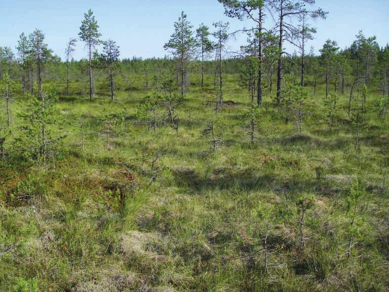 Heininevan tutkimus- ja syvyyspisteet.