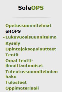 Esimerkkejä hakuehtojen käyttämisestä: - ryhmän toteutuksia hakiessa: ryhmä + lukukausi (tästä esimerkki alla) - yksi opinto: opintojakson tunnus + lukukausi - vapaasti