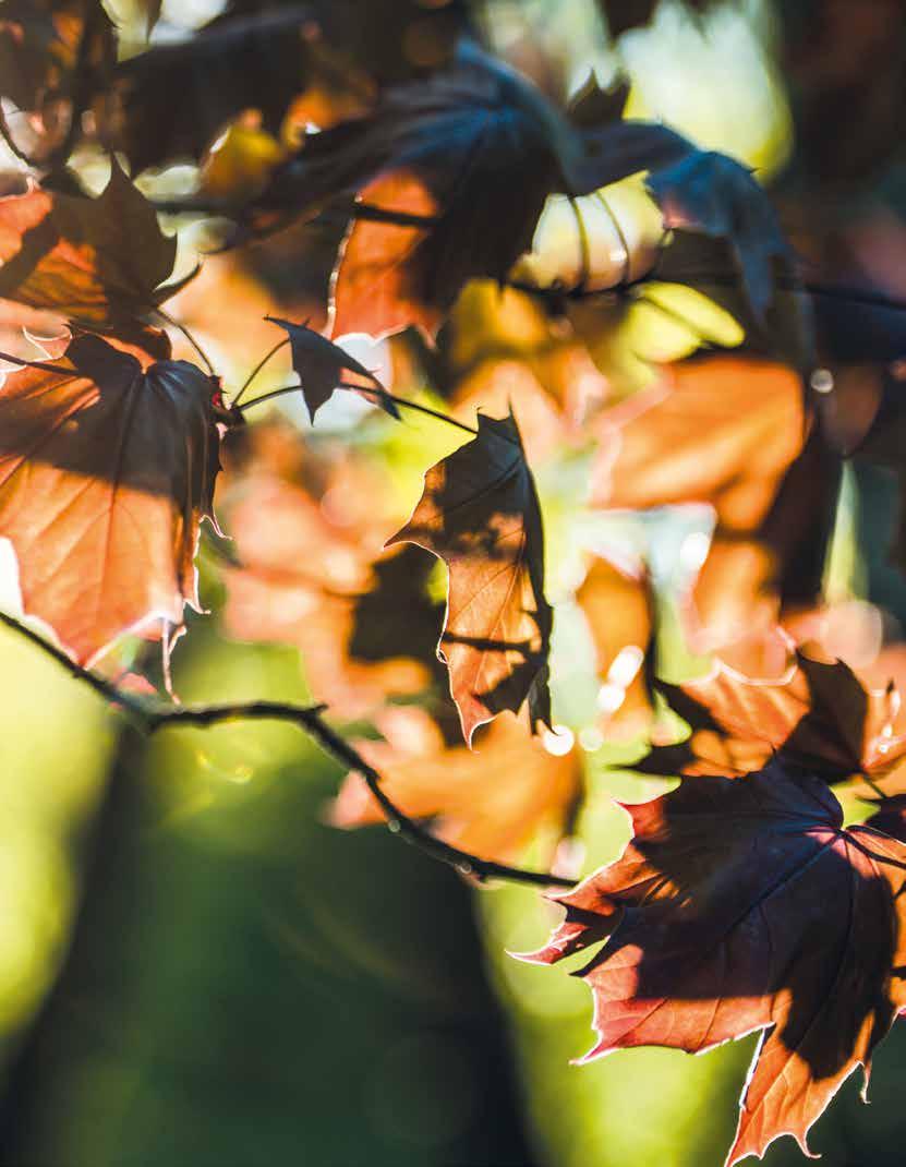 Lainmuutoksen lisäksi kaupunkiseudun joukkoliikenteen uudelleen järjestämistä oli kannustamassa kuntien tavoite lisätä joukkoliikenteen käyttöä.