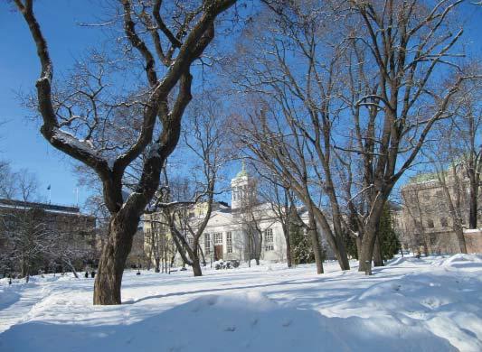 Vanha kirkkopuisto Vanha kirkkopuisto on arvokas historiallinen puisto Vanhan kirkon edustalla, ja se on keskustan suosituimpia oleskelupuistoja. Puistoa hoidetaan edustuspuistona.