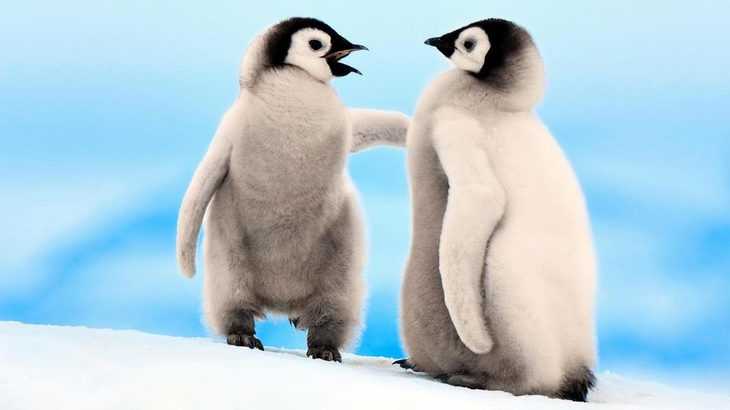LINUXIIN HELPOSTI Opas Linux