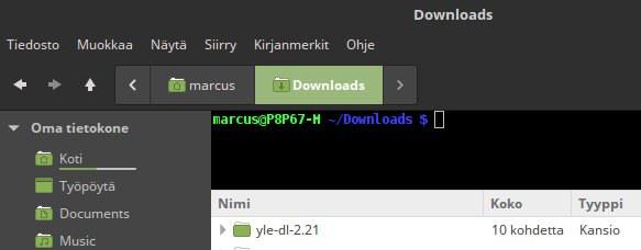 48 Cinnamon: sudo apt install nemo-terminal MATE: sudo apt install caja-open-terminal Käynnistä tiedostoselain uudelleen (esimerkiksi kirjautumalla uudelleen), jolloin päätepaneeli tulee käyttöön.