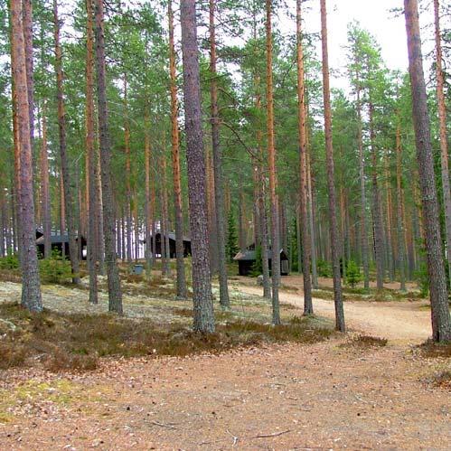 Laahtasella olevat rakenteet on rakennettu pääosin 1990-luvun alkupuolella ja ne ovat suurelta osin uusimisen tarpeessa.