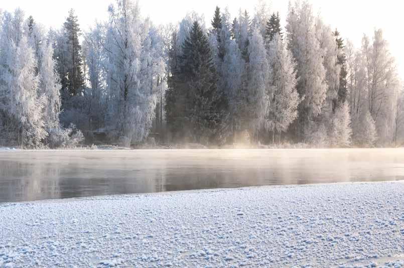 Suosittelemme kompostoituvien Separett biopussien käyttöä. Tutustu käymäläjätekompostoriin sivulla 30.