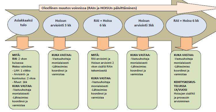 RAI ja hoitosuunnitelma -prosessi TerveysEfficaa